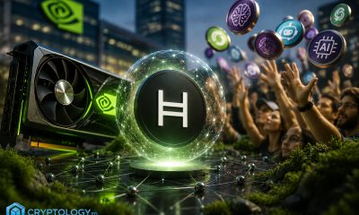 Pariul tăcut al Nvidia pe Hedera și febra retailului pentru tokenii AI